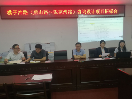 桃子沖路（后山路~張家灣路）咨詢設(shè)計項目招標(biāo)會